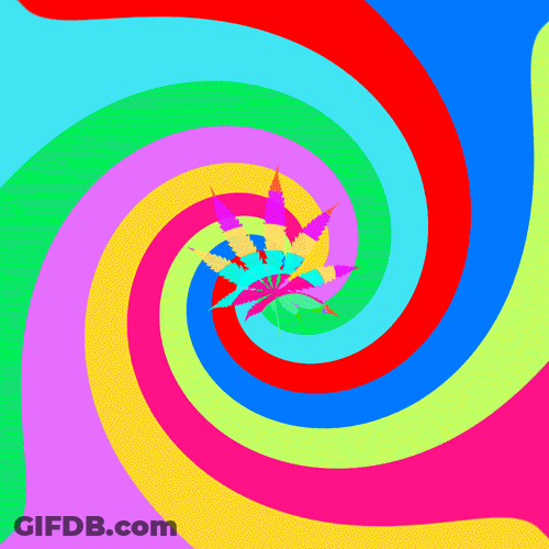 A Colorful Spiral With A Leaf In The Middle GIF