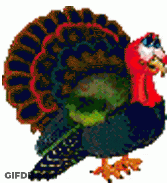 A Colorful Turkey With A Red Beak And A Green Tail GIF