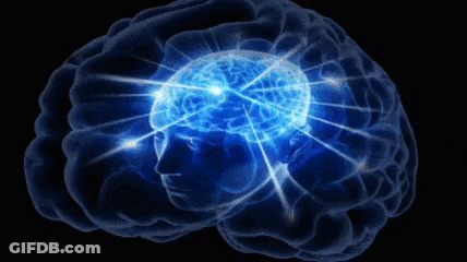 A Computer Generated Image Of A Human Brain With Light Coming Out Of It GIF