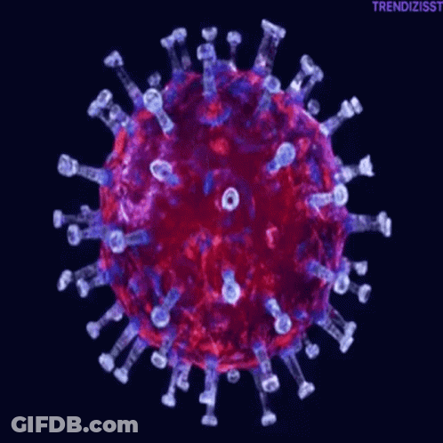 A Computer Generated Image Of A Red And Purple Virus On A Black Background . GIF
