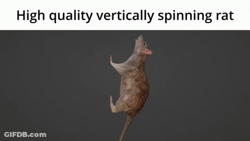 A Computer Generated Image Of A Spinning Rat With The Caption " High Quality Vertically Spinning Rat " GIF