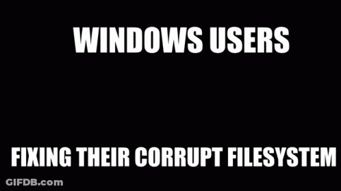 A Computer Monitor With The Words Windows Users Fixing Their Corrupt Filesystem GIF