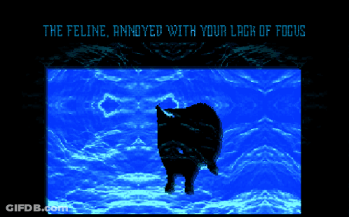 A Computer Screen Says The Feline Annoyed With Your Lack Of Focus On It GIF