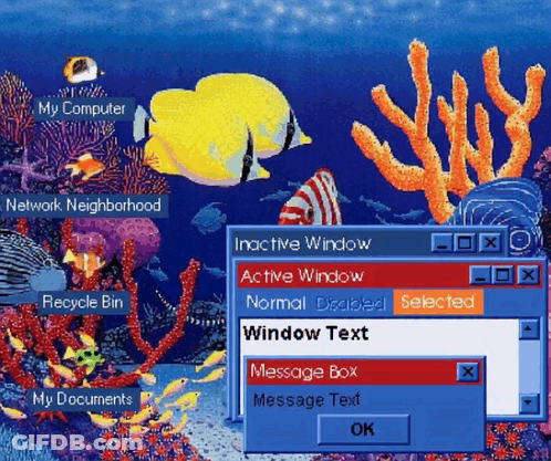 A Computer Screen Shows A Coral Reef And Says My Computer GIF