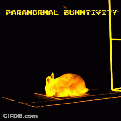 A Computer Screen Shows A Rabbit And The Words " Paranormal Gunntivity " GIF