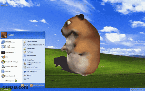 A Computer Screen With A Hamster On It And The Start Menu Open GIF