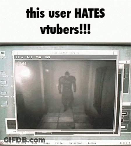 A Computer Screen With A Shadow Of A Man On It And The Words This User Hates Vtubers GIF