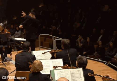 A Conductor Directs An Orchestra Playing Violins And A Piano GIF