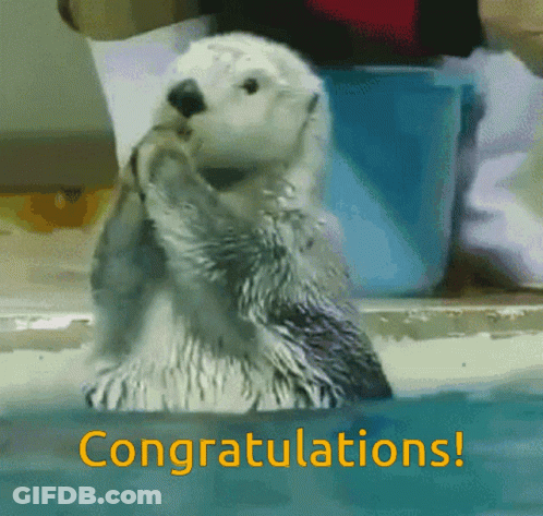A Congratulations Card With A Sea Otter On It GIF