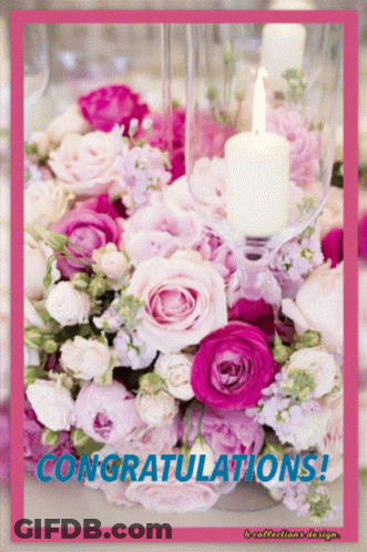 A Congratulations Card With Pink Roses And A Candle GIF