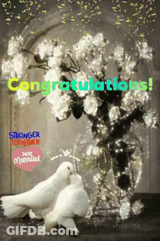 A Congratulations Card With Two Doves And Flowers GIF