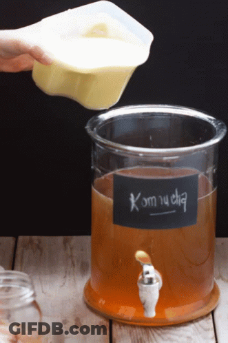 A Container Of Kombucha Is Being Poured Into Another Container GIF