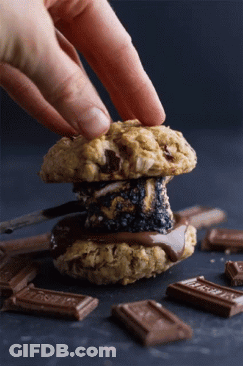 A Cookie Smores Delight GIF