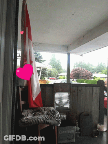 A Cooler Box Sits On A Porch Next To A Chair And A Canadian Flag GIF