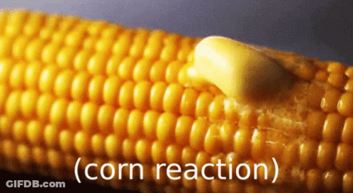 A Corn On The Cob With Butter On It And The Words Corn Reaction GIF