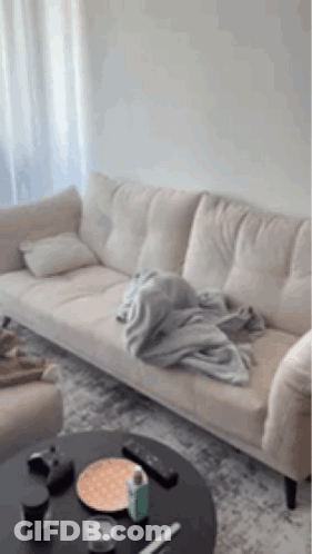 A Couch In A Living Room With A Blanket On It GIF