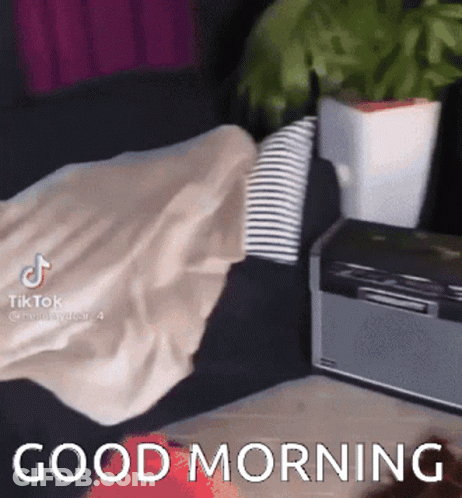 A Couch With A Pillow On It And The Words Good Morning Written On It GIF