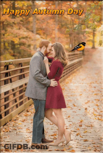 A Couple Kissing On A Bridge With The Words Happy Autumn Day GIF