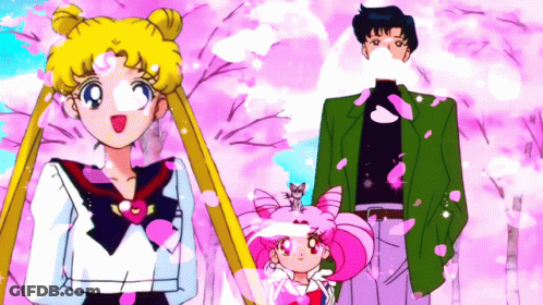 A Couple Of Anime Characters Standing Next To Each Other With Pink Petals Flying Around Them GIF
