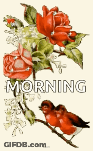 A Couple Of Birds Sitting On A Branch Next To A Bunch Of Red Roses GIF