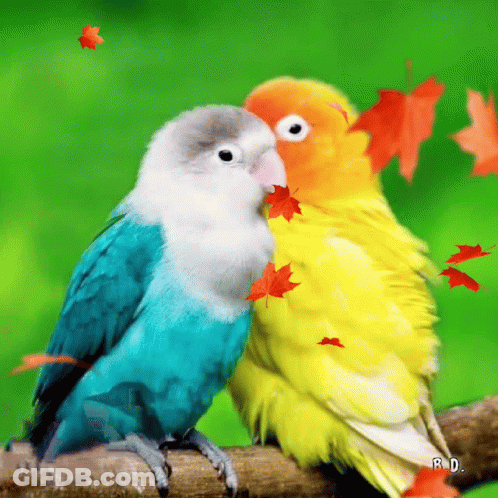 A Couple Of Birds Sitting On A Branch With Leaves Flying Around Them GIF