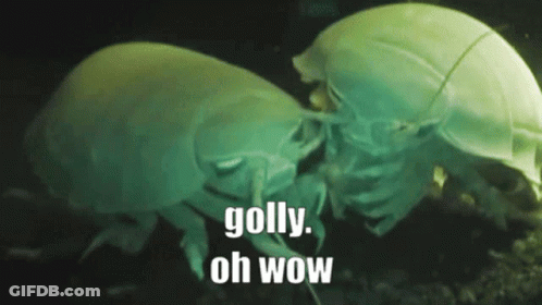 A Couple Of Bugs Are Standing Next To Each Other With The Words " Golly Oh Wow " In The Background GIF