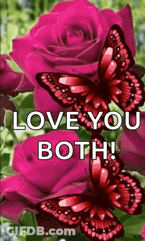A Couple Of Butterflies Sitting On Top Of A Pink Rose With The Words `` Love You Both '' Written On It . GIF