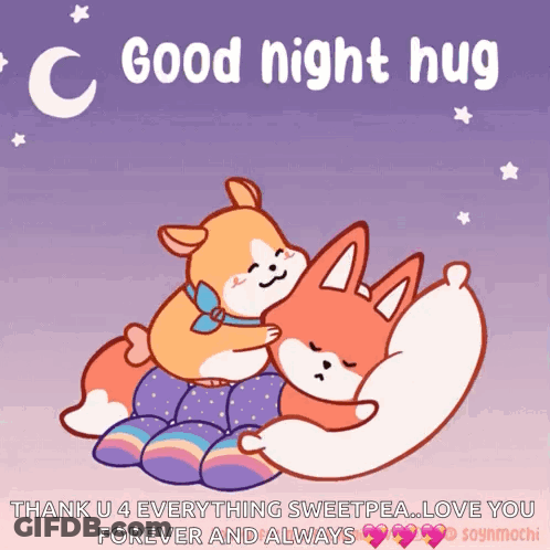 A Couple Of Cartoon Animals Hugging Each Other With The Words Good Night Hug GIF