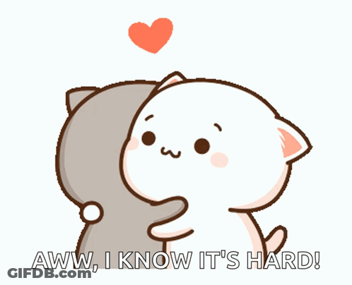 A Couple Of Cartoon Cats Hugging Each Other With The Words Aww I Know It 'S Hard GIF