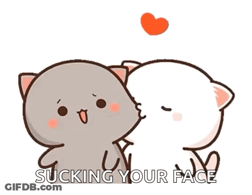 Cats Kissing With Sucking Your Face Text GIF