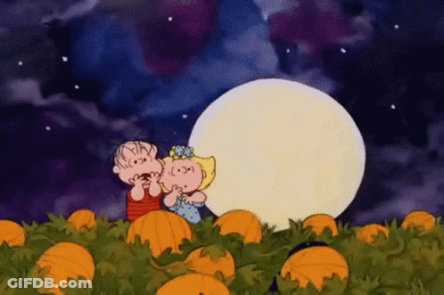 A Couple Of Cartoon Characters Standing In A Field Of Pumpkins Looking At A Full Moon GIF