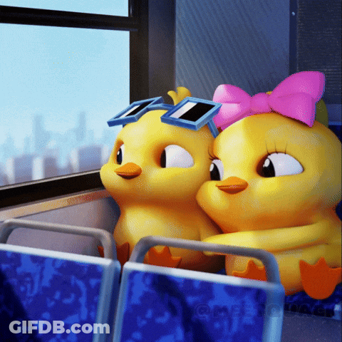 A Couple Of Cartoon Ducks Wearing Sunglasses And A Pink Bow GIF