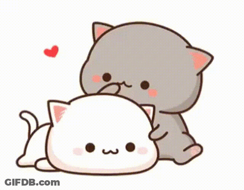 Cats Laying Next To Each Other Hugging GIF