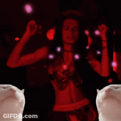 A Couple Of Cats Are Looking At A Man In A Dark Room GIF