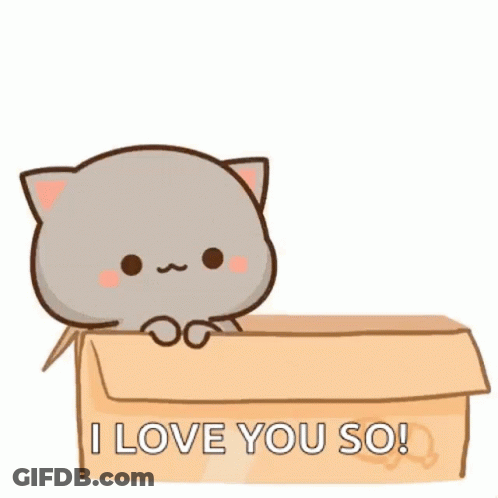 A Couple Of Cats Are Sitting In A Cardboard Box And Saying `` I Love You So '' . GIF