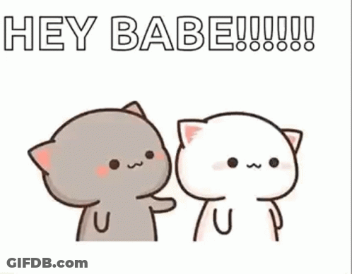 A Couple Of Cats Are Standing Next To Each Other And One Is Touching The Other 'S Face . GIF