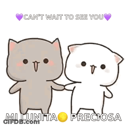 A Couple Of Cats Holding Hands With The Words Can 'T Wait To See You GIF