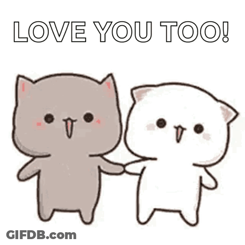 A Couple Of Cats Holding Hands With The Words `` Love You Too '' . GIF
