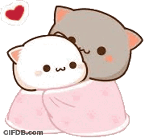 Cats Hugging On Pink Blanket GIF