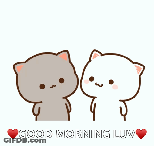 A Couple Of Cats Kissing With The Words Good Morning Luv GIF