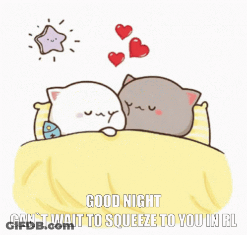 A Couple Of Cats Laying In Bed With Hearts Flying Around Them And The Words Good Night Can 'T Wait To Squeeze To You In GIF