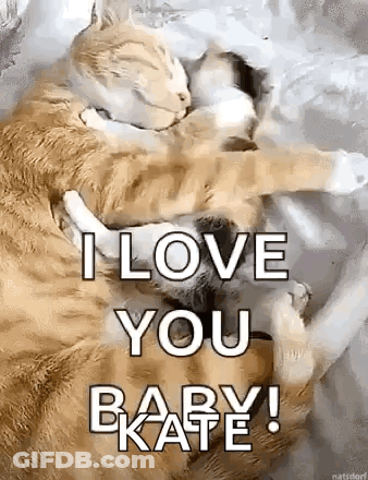A Couple Of Cats Laying Next To Each Other On A Bed With The Words `` I Love You Baby ! '' GIF