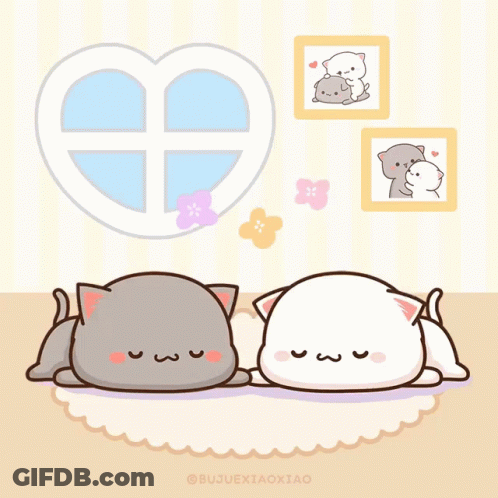 A Couple Of Cats Laying On A Rug With A Heart Shaped Window Behind Them GIF