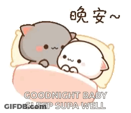 Cats Laying On Bed Saying Goodnight Baby Sleep Supa Well GIF