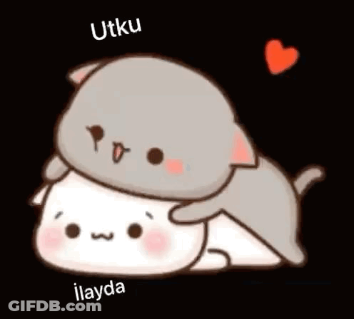 A Couple Of Cats Laying On Top Of Each Other On A Black Background . GIF