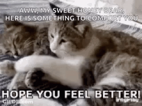 A Couple Of Cats Laying On Top Of Each Other On A Blanket . GIF