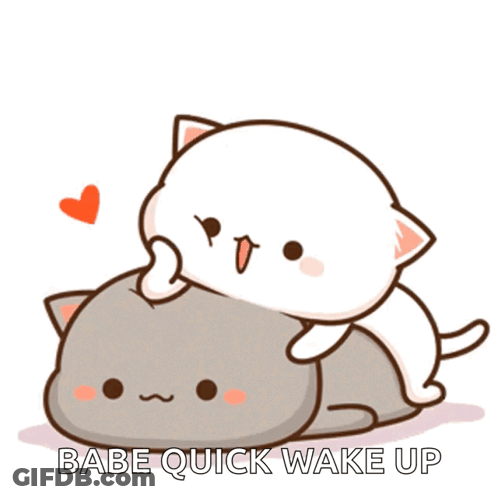 A Couple Of Cats Laying On Top Of Each Other With The Words " Babe Quick Wake Up " Below Them GIF