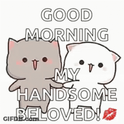 A Couple Of Cats Standing Next To Each Other With The Words `` Good Morning My Handsome Beloved '' Written On Them . GIF