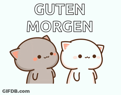 Cats Standing Next To Each Other Greet Guten Morgen GIF