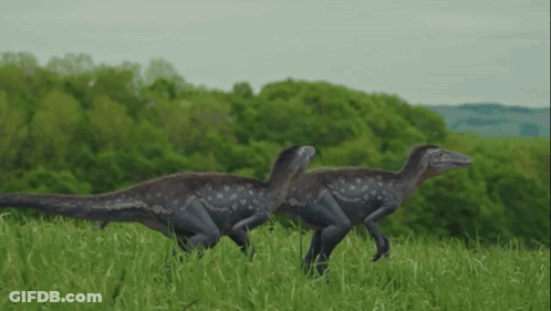 A Couple Of Dinosaurs Running In A Grassy Field GIF
